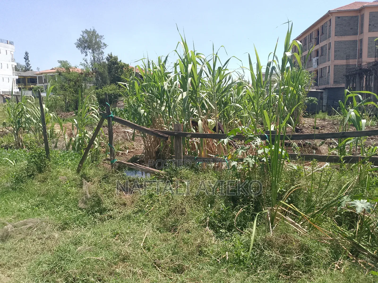 1/8 Acre Land for Sale Ideal for Rental Apartments.
