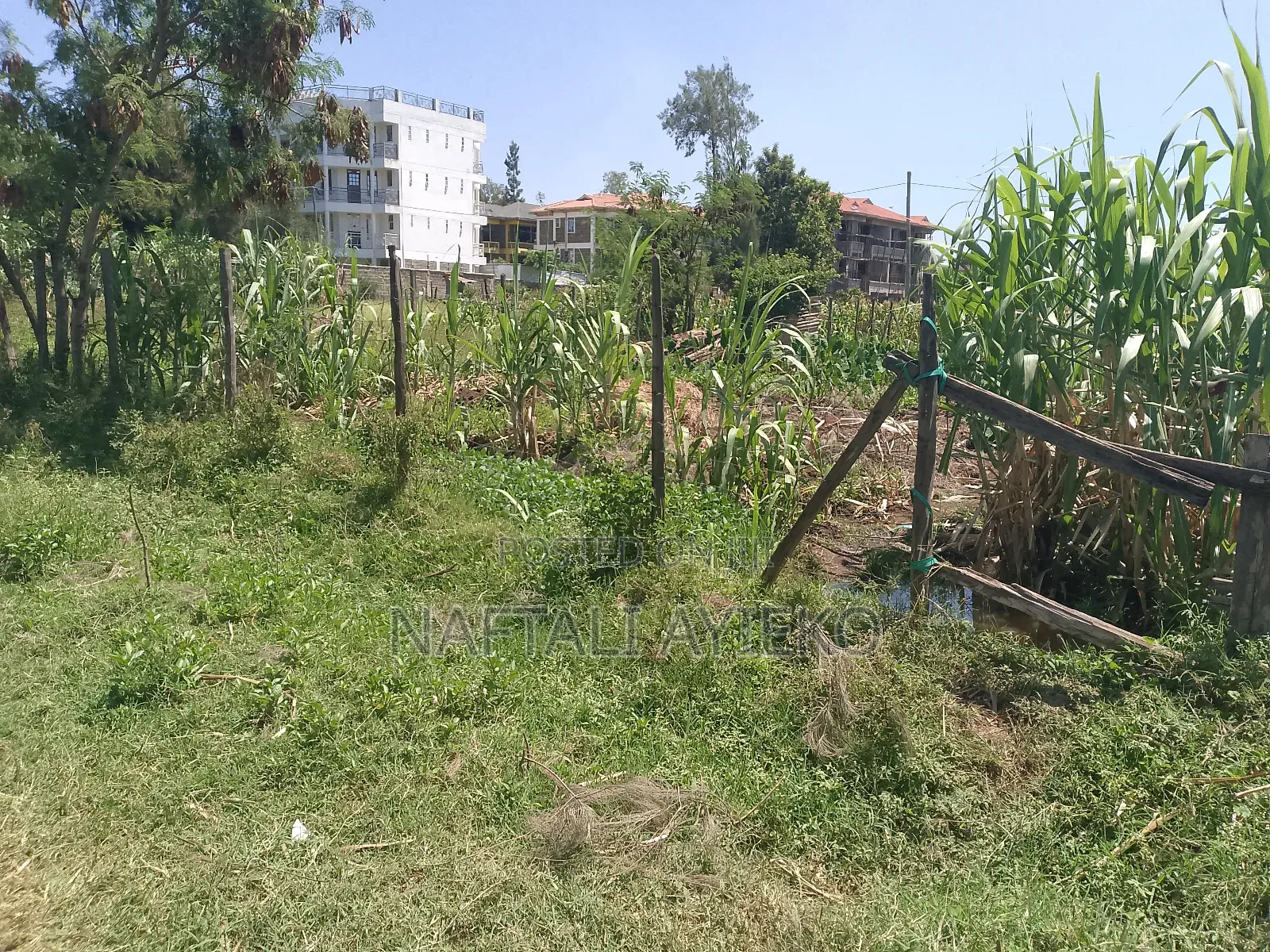 1/8 Acre Land for Sale Ideal for Rental Apartments.