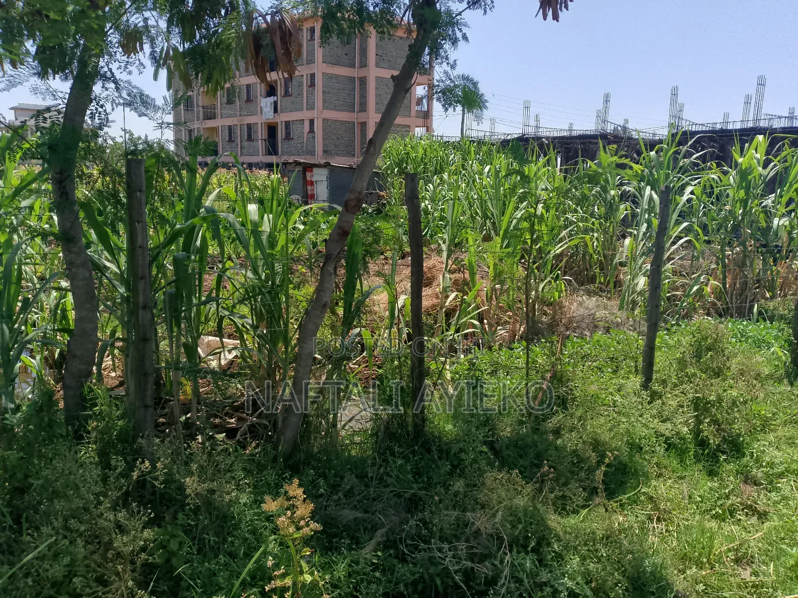 1/8 Acre Land for Sale Ideal for Rental Apartments.