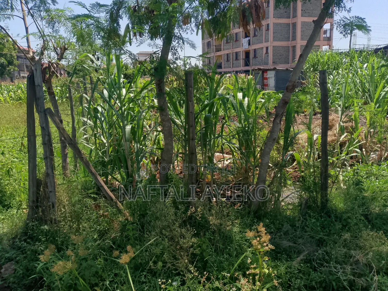 1/8 Acre Land for Sale Ideal for Rental Apartments.