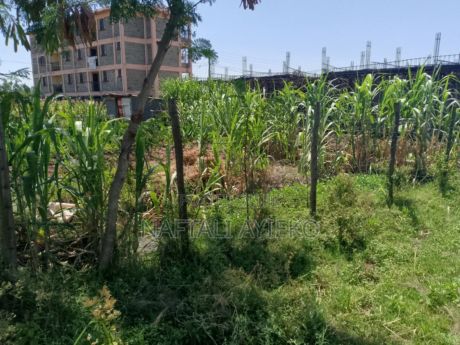1/8 Acre Land for Sale Ideal for Rental Apartments.