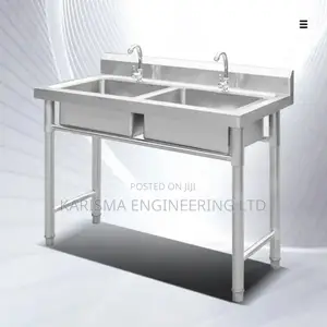 Stainless Steel Double Sink