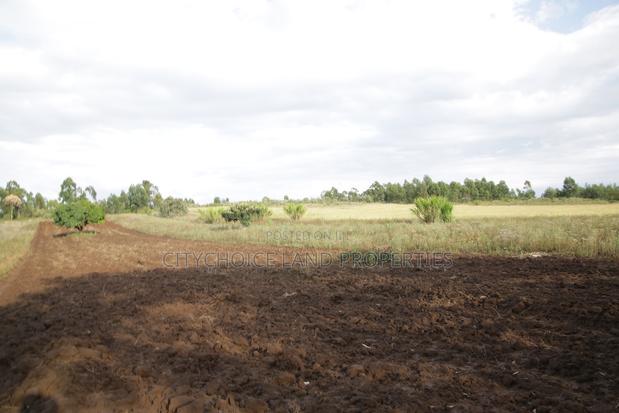 Prime Plots for Sale in Kikuyu Nachu, Mbomboine - thumbnail 2