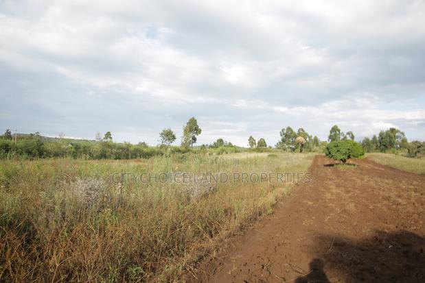 Prime Plots for Sale in Kikuyu Nachu, Mbomboine - thumbnail 3
