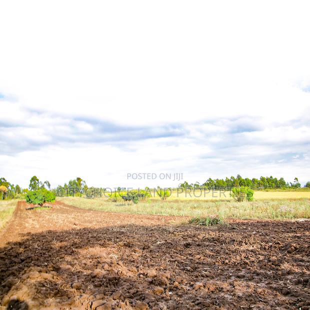 Secure Your Plot in Kikuyu Nachu, Mbomboine - thumbnail 4