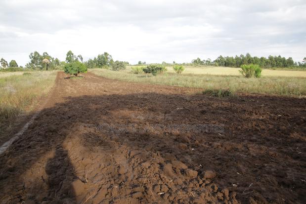 Invest in Prime Land in Kikuyu Nachu - thumbnail 3