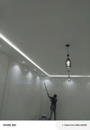 Gypsum Ceilings/Office Partitioning/Snake And Down Light
