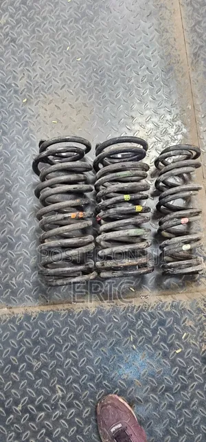 Premio 260/240 Heavy Duty Springs