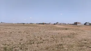 Juja, 5 Acres Touching Tarmac