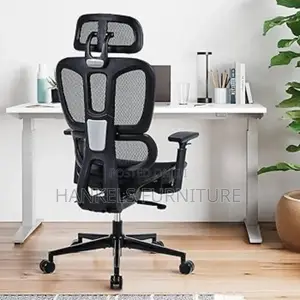 Ergonomic Office Chair With Lumbar Support