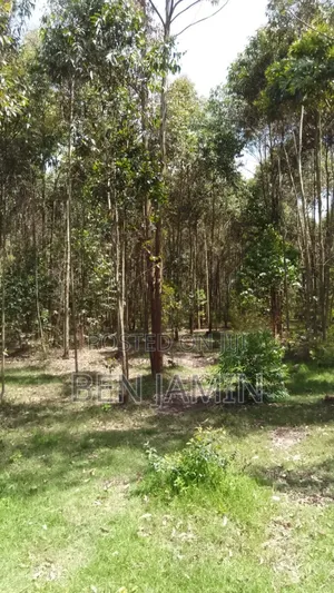 10acres in North Kinangop