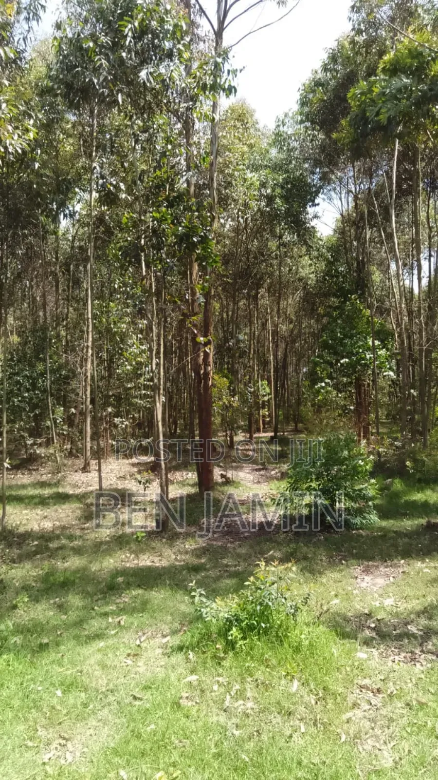 10acres in North Kinangop