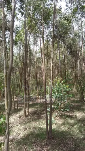 10acres in North Kinangop