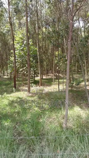 10acres in North Kinangop