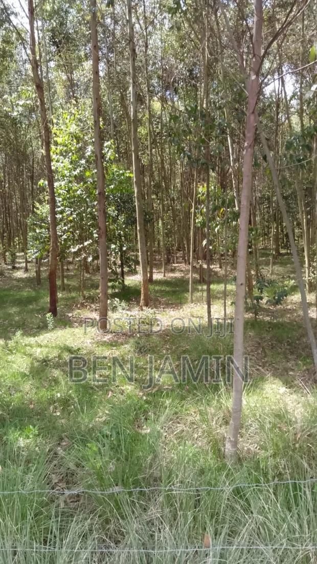 10acres in North Kinangop - thumbnail 4
