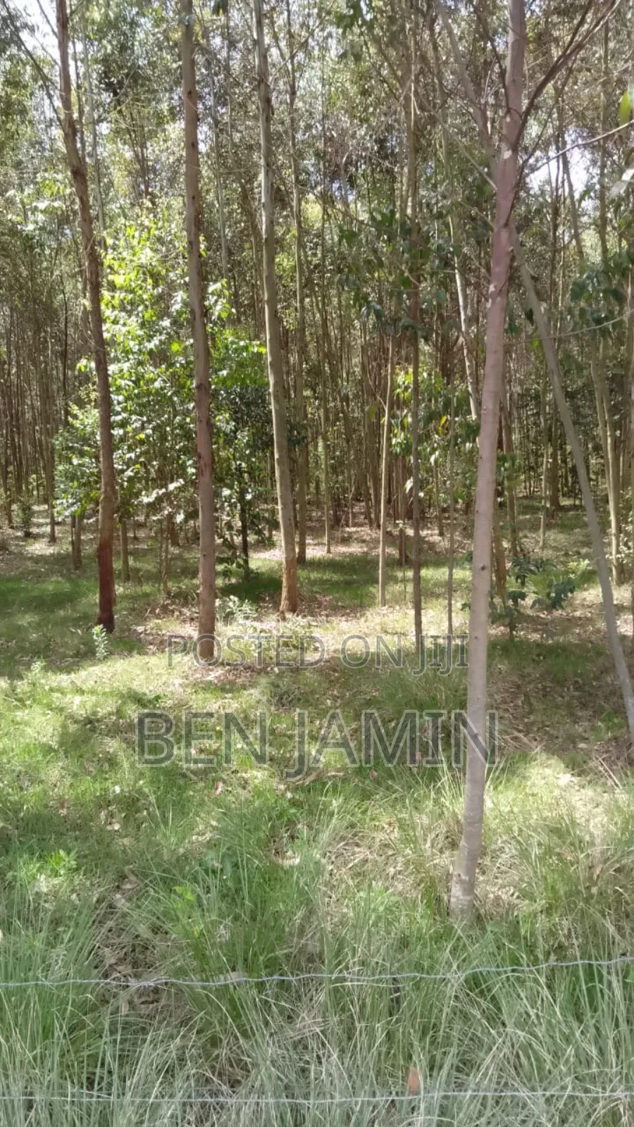 10acres in North Kinangop