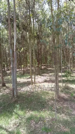 10acres in North Kinangop