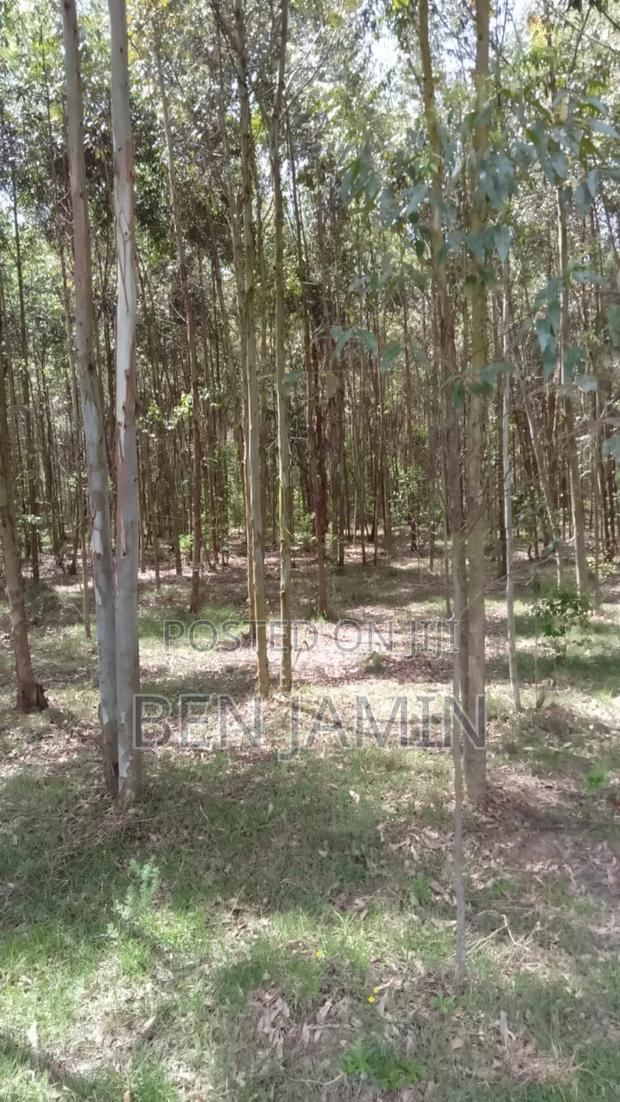 10acres in North Kinangop - thumbnail 5