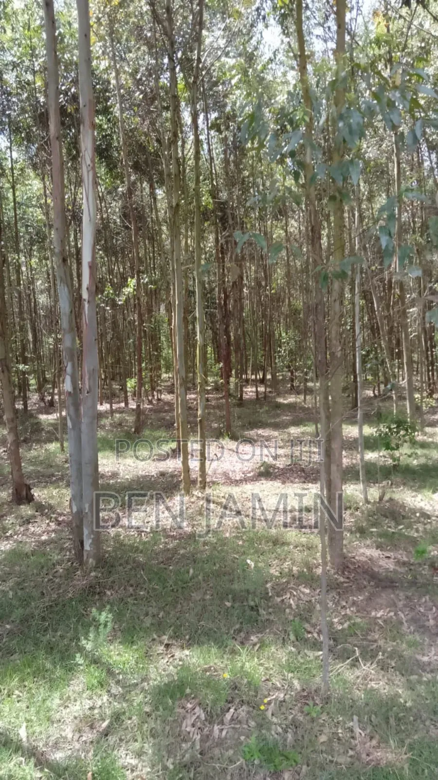 10acres in North Kinangop