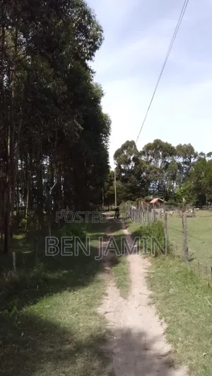 10acres in North Kinangop