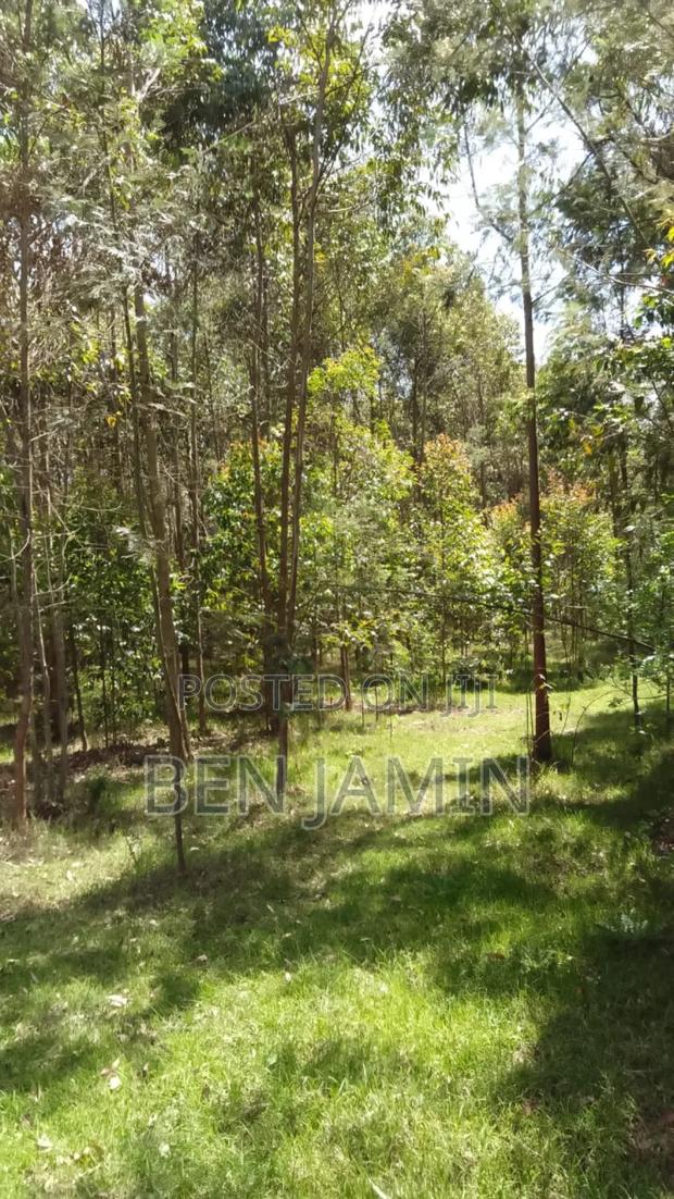 10acres in North Kinangop - thumbnail 7