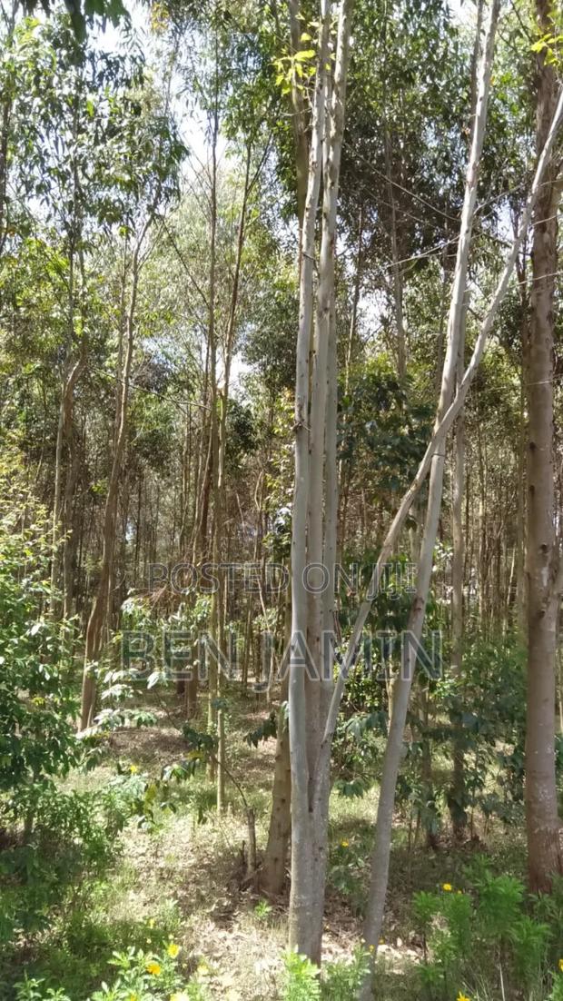 10acres in North Kinangop - thumbnail 8