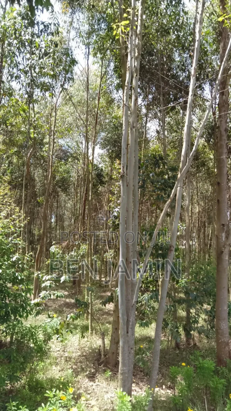 10acres in North Kinangop