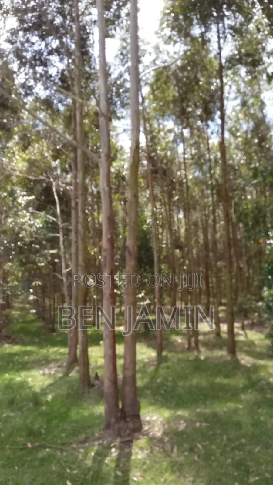 10acres in North Kinangop