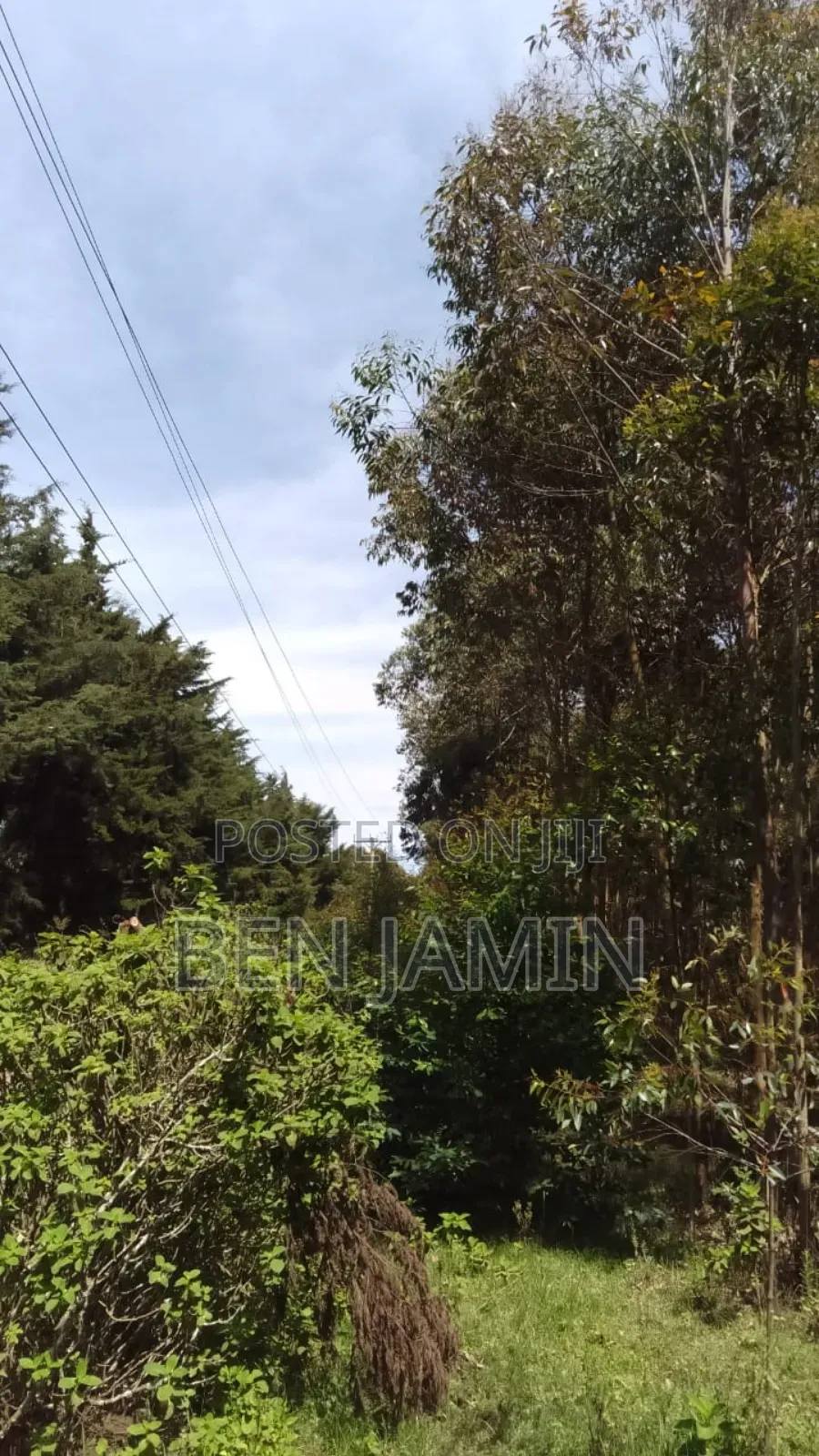 10acres in North Kinangop
