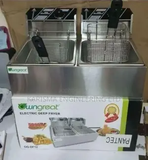 6L +6L Electric Chips Fryer