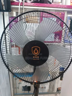 Standing Fan