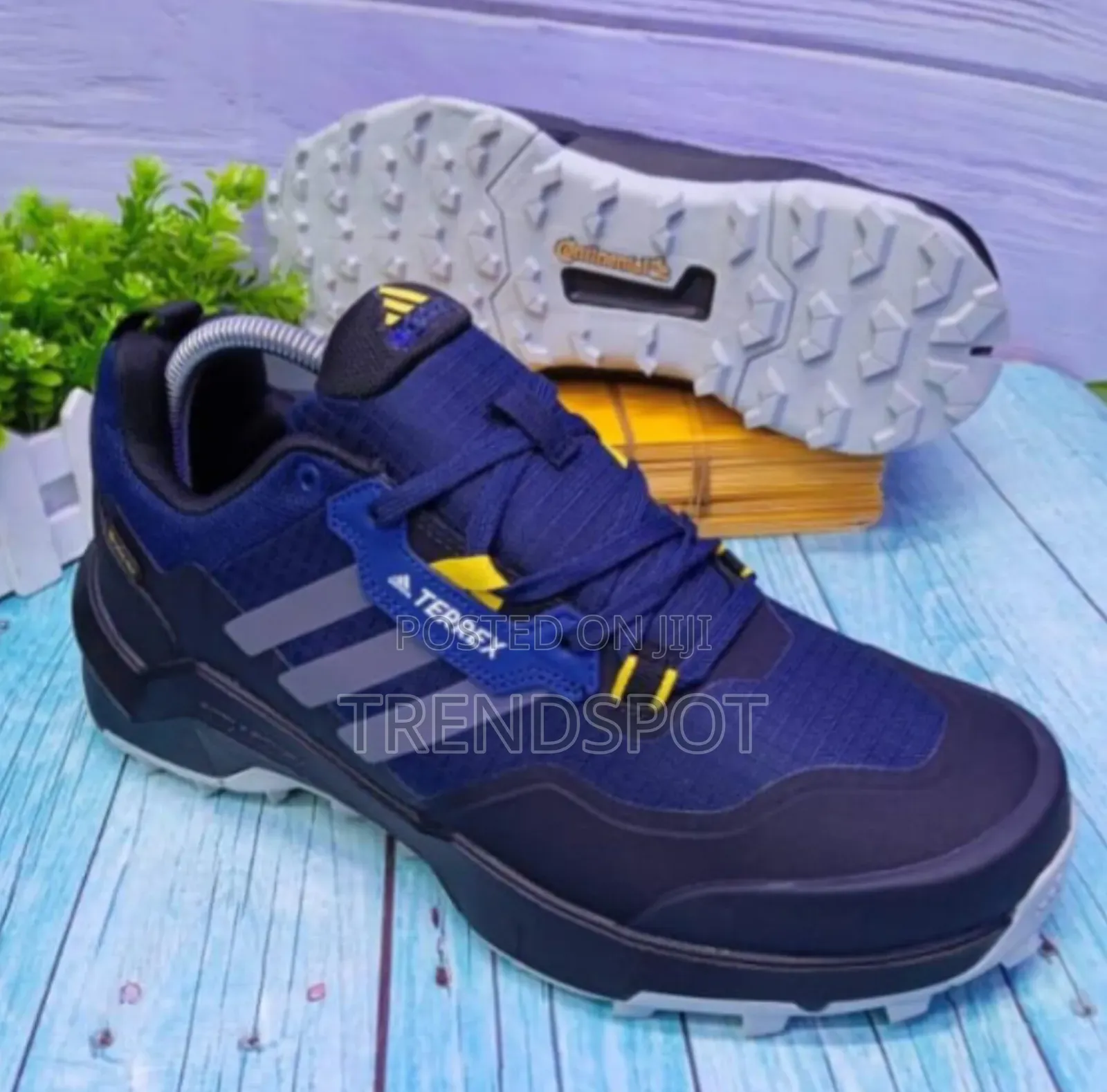  Adidas Terrex Blue