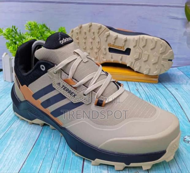  Adidas Terrex Brown
