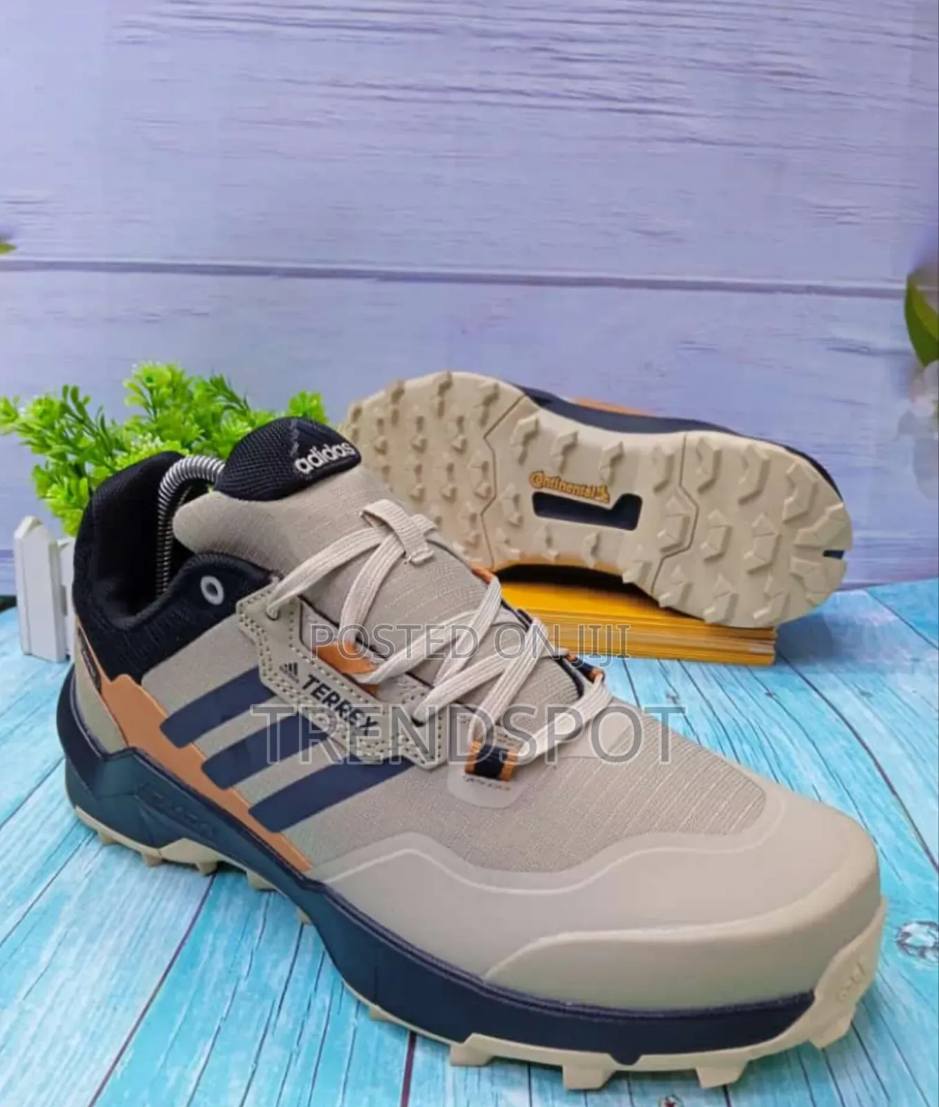  Adidas Terrex Brown
