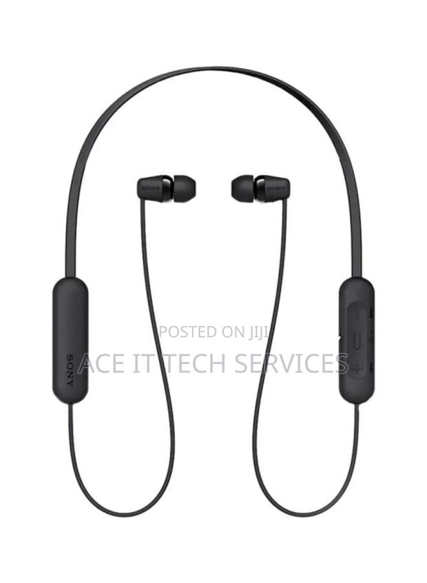 Sony Audio and Tv Wi-C200 - main view