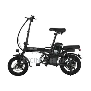 Green Lion Electric Bike
