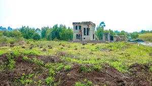 Prime Residential Plots For Sale In Kikuyu, Nachu