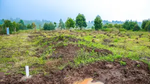 Prime Residential Plots For Sale In Kikuyu, Nachu
