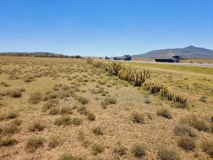 Get 1 Acre of Land That's Touching Tarmac for Just 6.5m - thumbnail 2