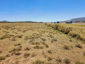 Get 1 Acre of Land That's Touching Tarmac for Just 6.5m