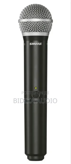 Shure BLX24/PG58 Handheld Wireless System - PG58 Handheld