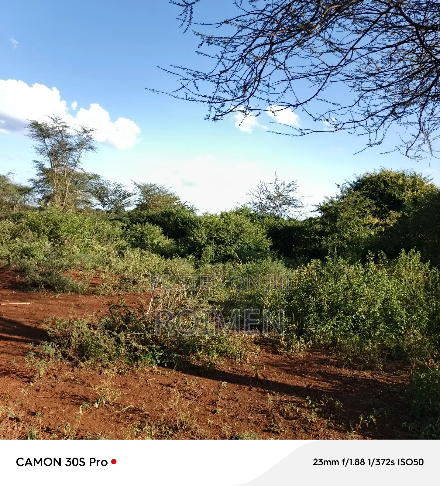 13 Ekali Entarara Kwa 500,000 Kila Eka