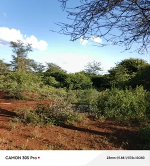 13 Ekali Entarara Kwa 500,000 Kila Eka