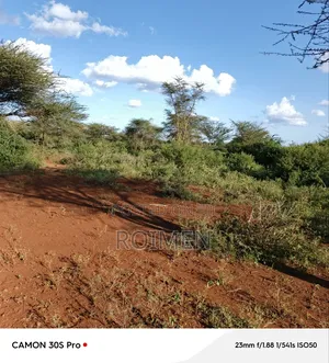 13 Ekali Entarara Kwa 500,000 Kila Eka