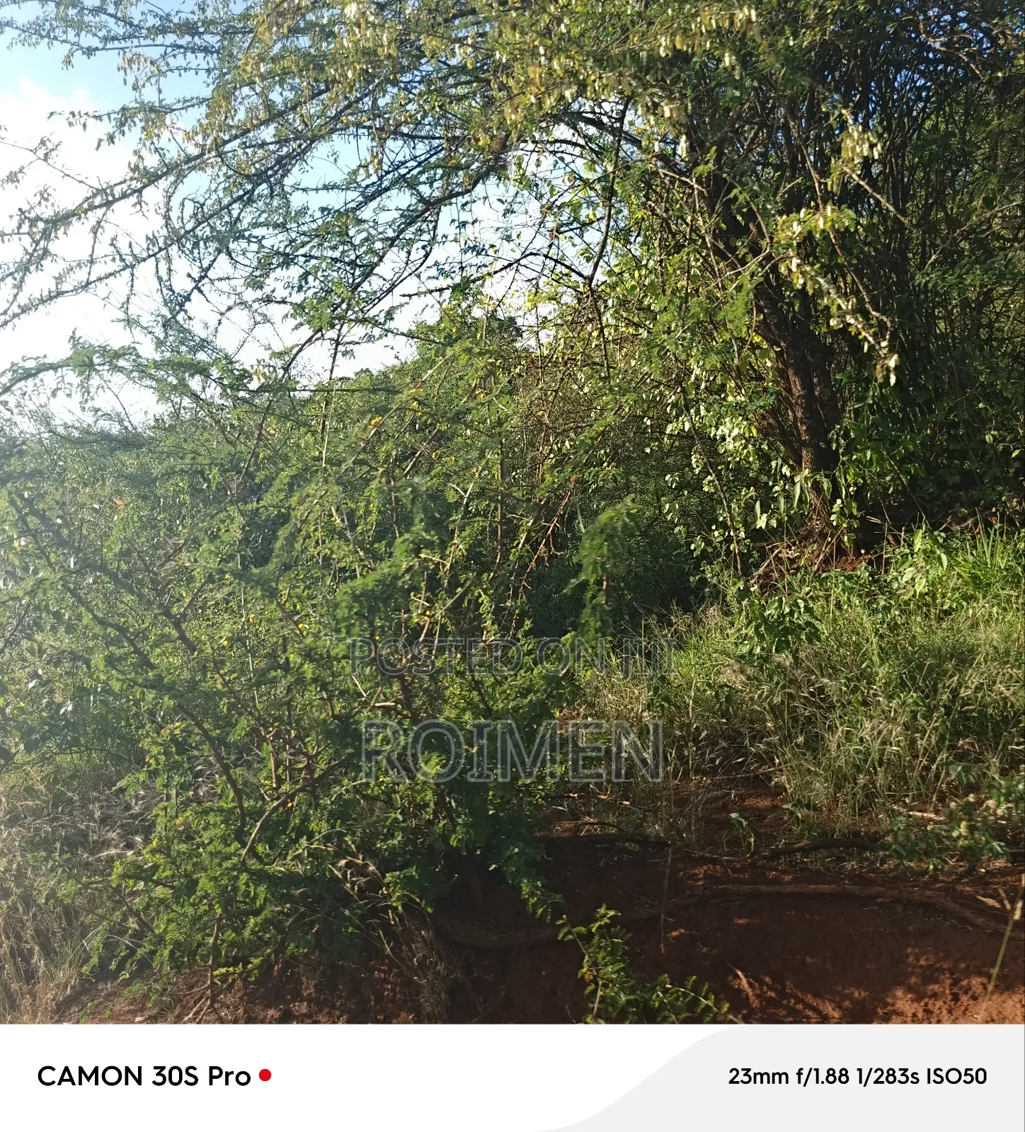 13 Ekali Entarara Kwa 500,000 Kila Eka