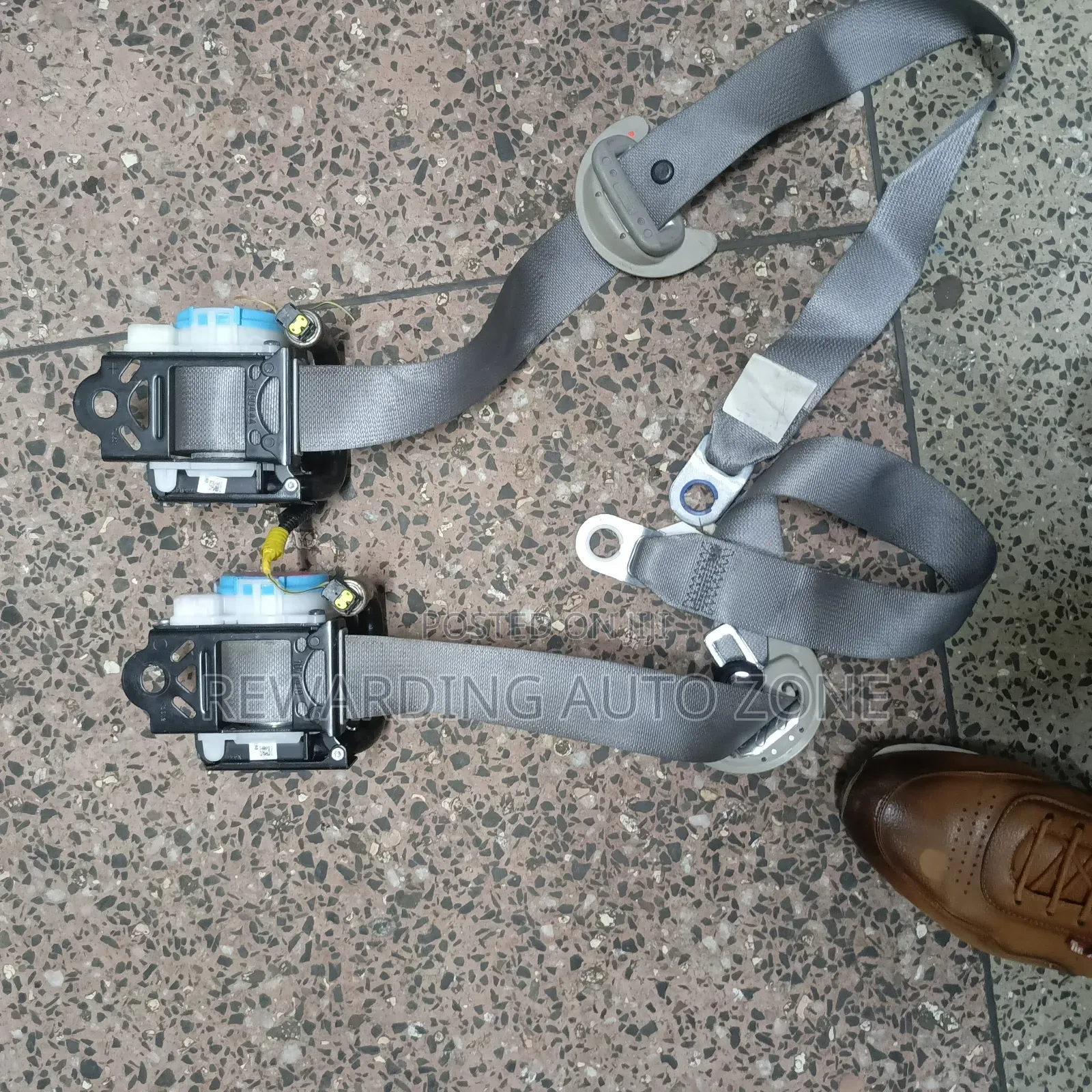 Seatbelts for Fielder/Axio 2020