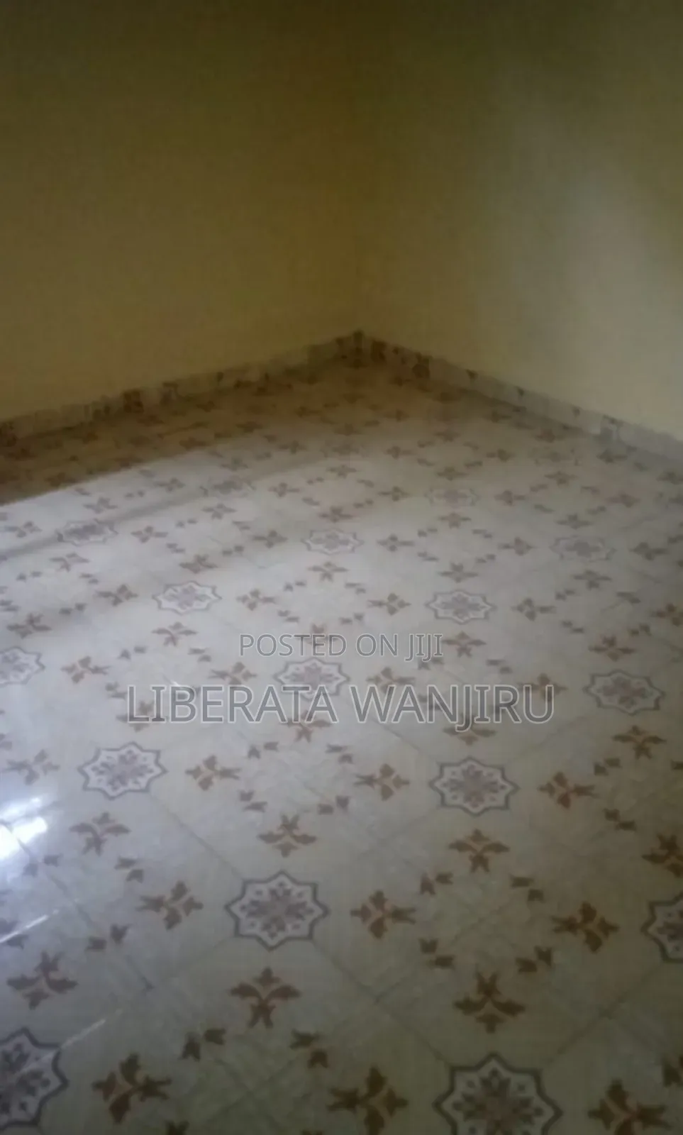 1bdrm Bedsitter in Nyamasaria, Kasawino, Manyatta B for rent