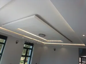 Gypsum Ceilings Designs and Installation/Home Décor