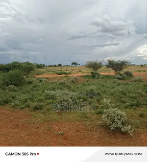 Ekali 5 Kilomita Mbili Kutoka Lami.