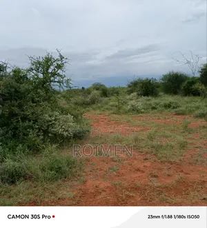 Ekali 5 Kilomita Mbili Kutoka Lami.